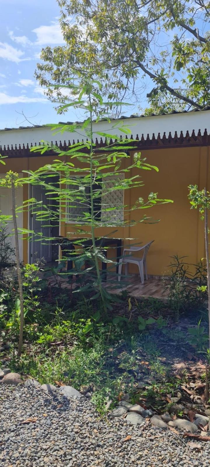 Apartamentos Sol Cahuita Cameră foto